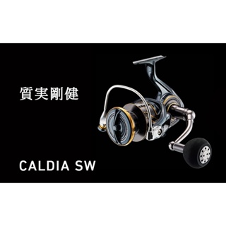 DAIWA 22 CALDIA SW [漁拓釣具] [紡車捲線器]