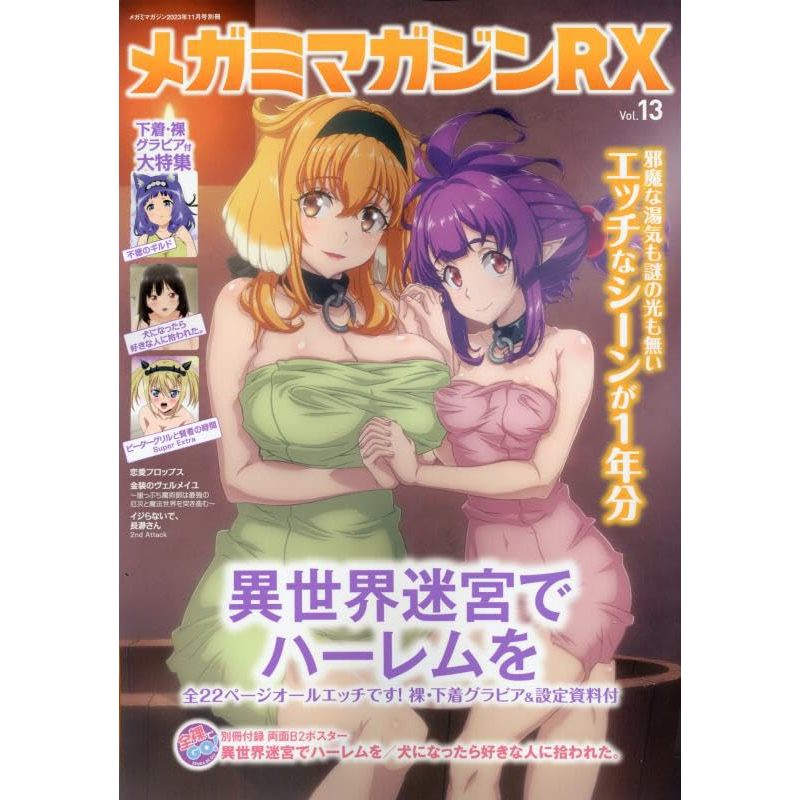 [TP小屋](全新現貨) 日文雜誌 MEGAMI RX Vol.13 2023年11月號 異世界迷宮 奴隷 無意間變成狗