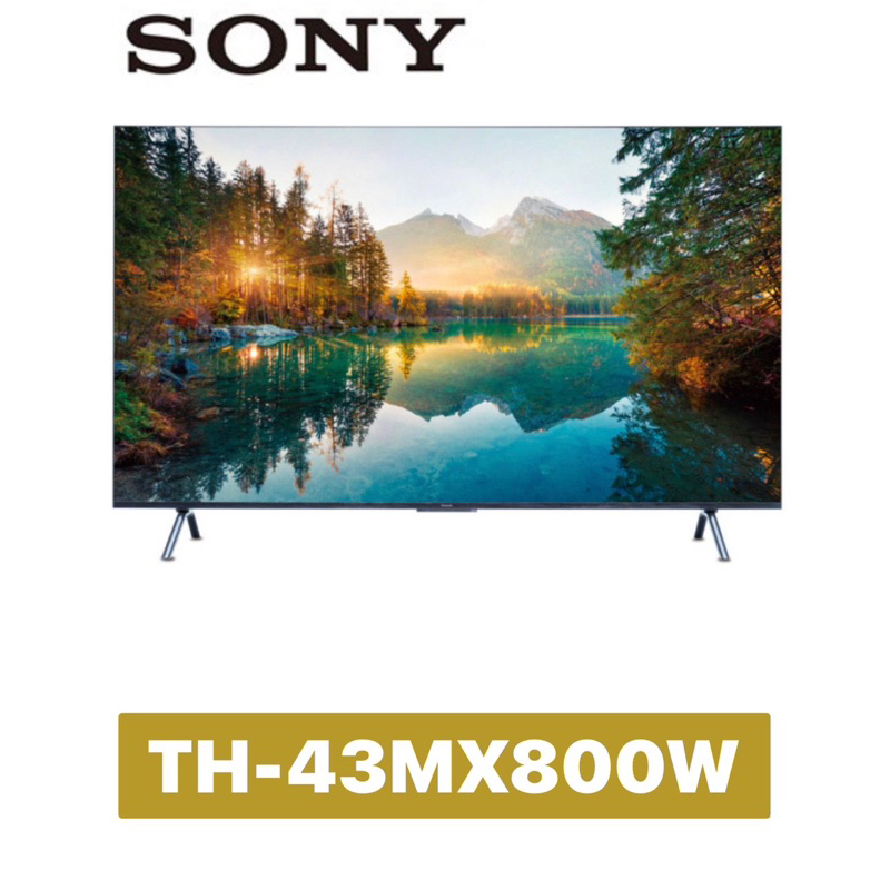 下單享九折【Panasonic 國際牌】43吋 4K HDR 智慧顯示器 TH-43MX800W  43MX800W