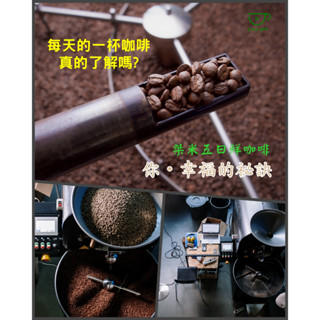 墨西哥 瓦哈卡州 南山山脈產區 水洗 淺中焙咖啡《桀米五日鮮咖啡 精品咖啡豆×下單新鮮烘焙》烘焙咖啡 精品豆 單品