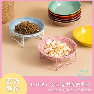 【🌟新品🌟現貨秒出！】LUCKY 淺口造型陶瓷貓碗⚡貓飼料碗⚡貓碗