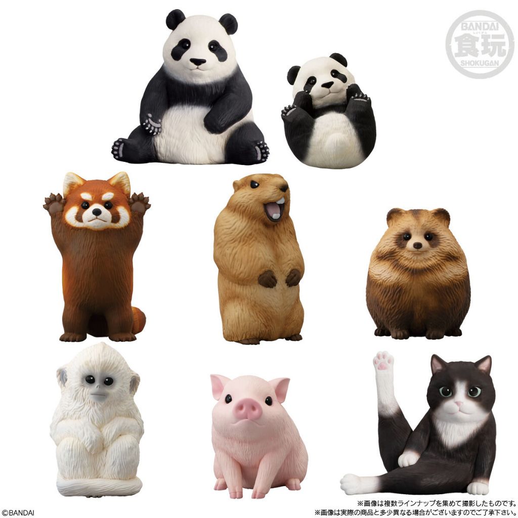 日本正版 盒玩 掌上好朋友 9 動物  熊貓 土撥鼠 蝦夷貉 豬 白猴 貓 狸貓