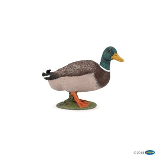 【法國PAPO純正品】51155 綠頭鴨子_精緻模擬模型 農場動物_益智教育 自然保育教材 生日禮品 精品擺飾_現貨