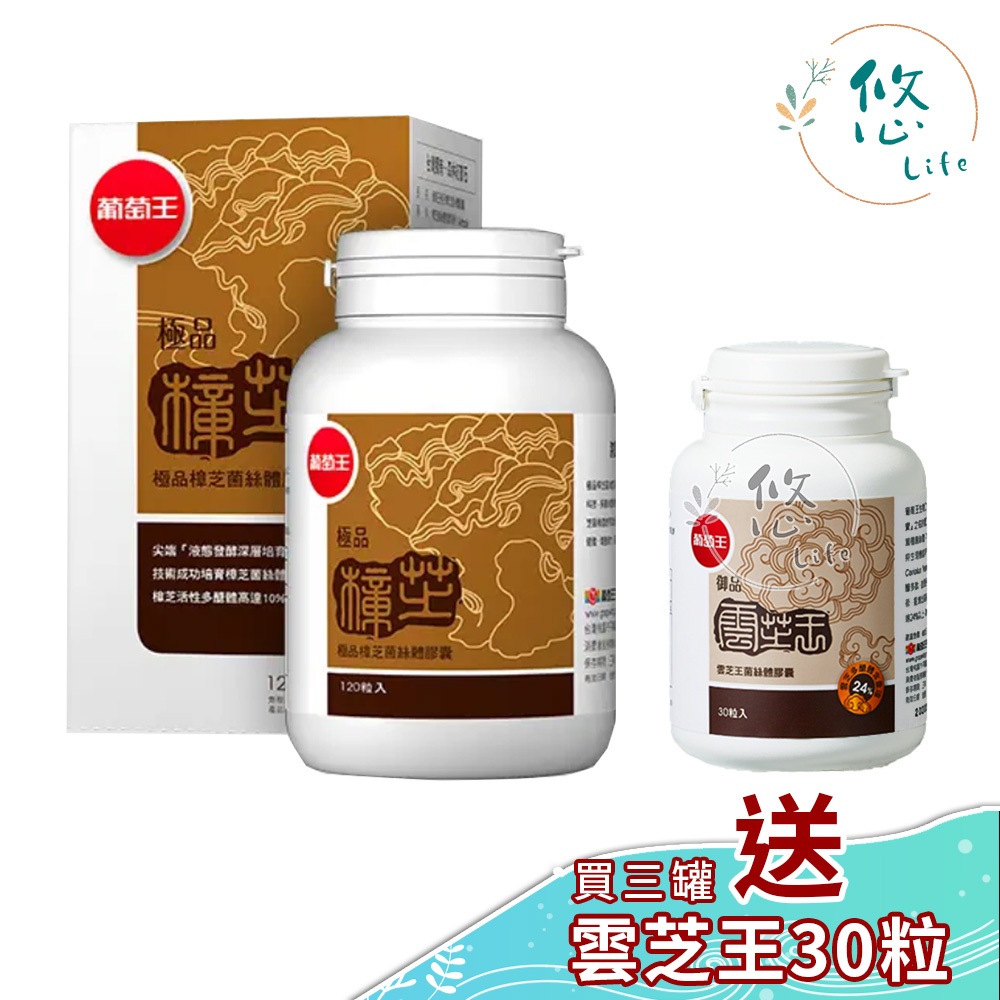 【買3罐送雲芝王30粒】葡萄王 極品樟芝菌絲體膠囊 120粒 極品樟芝王