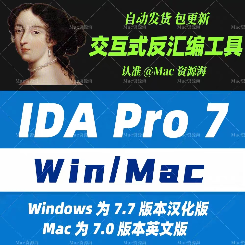 IDA Pro 7 交互式反匯編工具 代碼分析研究軟件開發 Win+Mac