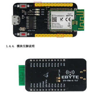 🔥蝦皮唯一🔥蝦皮最低價🔥(全新現貨) nRF52832藍芽模組開發套件 #E73-2G4M04S1B測試套件(E73-T