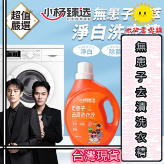 【現貨免運🔥小楊臻選】無患子去漬洗衣精 植萃淨白 洗衣精 洗衣液 濃縮洗衣精 洗衣精補充包 瘋狂小楊哥 亮白洗衣精