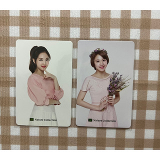 Twice小卡 Natural collection 化妝品卡 娜璉 彩瑛 代言小卡