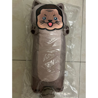 館長 貓咪抱枕🐱🐱🐱