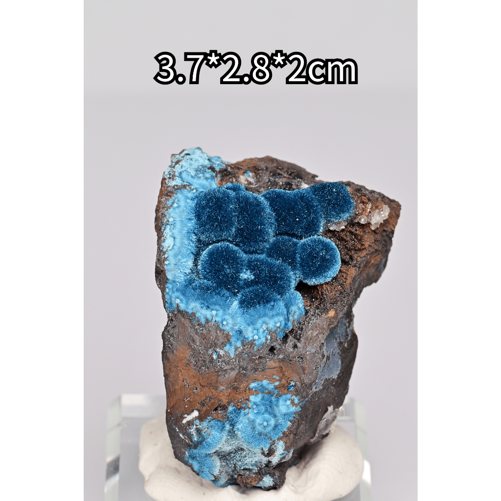 稀有 絕美 精品 美品 礦物 藍矽銅礦 shattuckite 納米比亞  礦物 斜硅銅 Mesopotamia