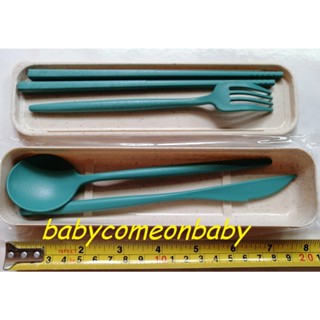 生活用品 小麥 秸稈 環保 餐具 四件組 附收納盒 綠色款 全新未使用