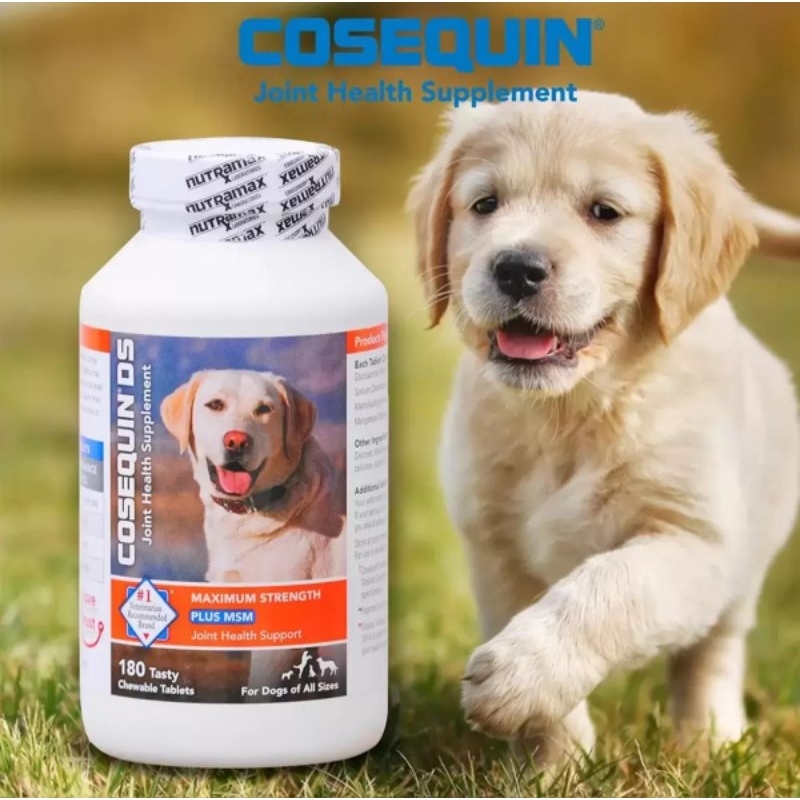 NUTRAMAX 萃麥思 COSEQUIN DS 關健適 含MSM 犬用 X 180錠