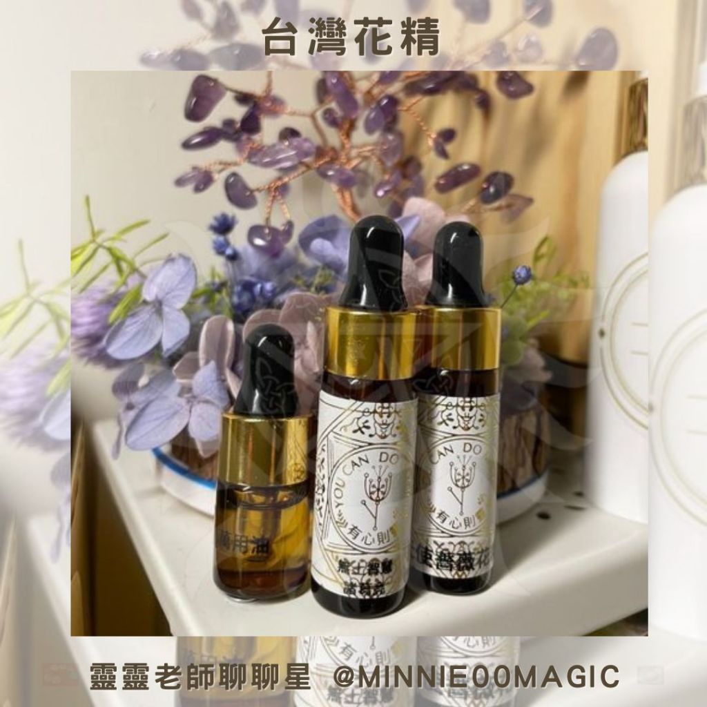 台灣花精 藍蓮花 黃蓮花 天使薔薇 蒜香藤 依蘭花 蜜妮玫瑰 梔子花 金銀花 粉蓮花 荷花 琥珀