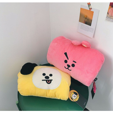 BTS 防彈少年團 BT21抱枕 冬季暖手 金泰亨 玩偶公仔 毛絨玩具