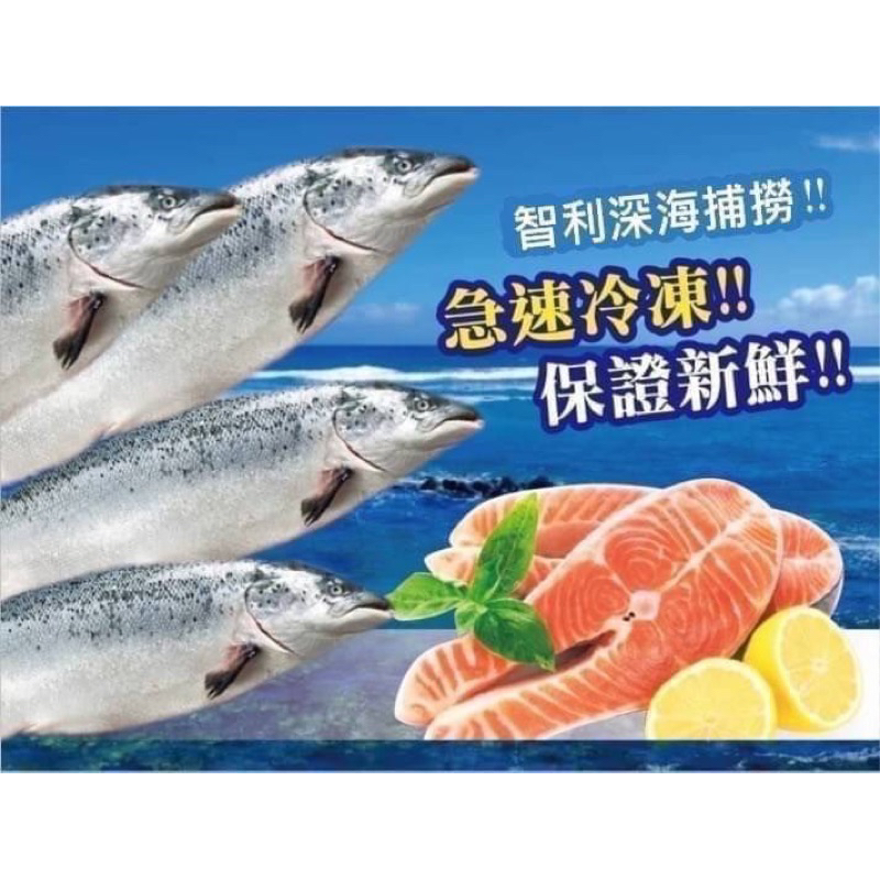 智利冰海帝王—鮭魚片
