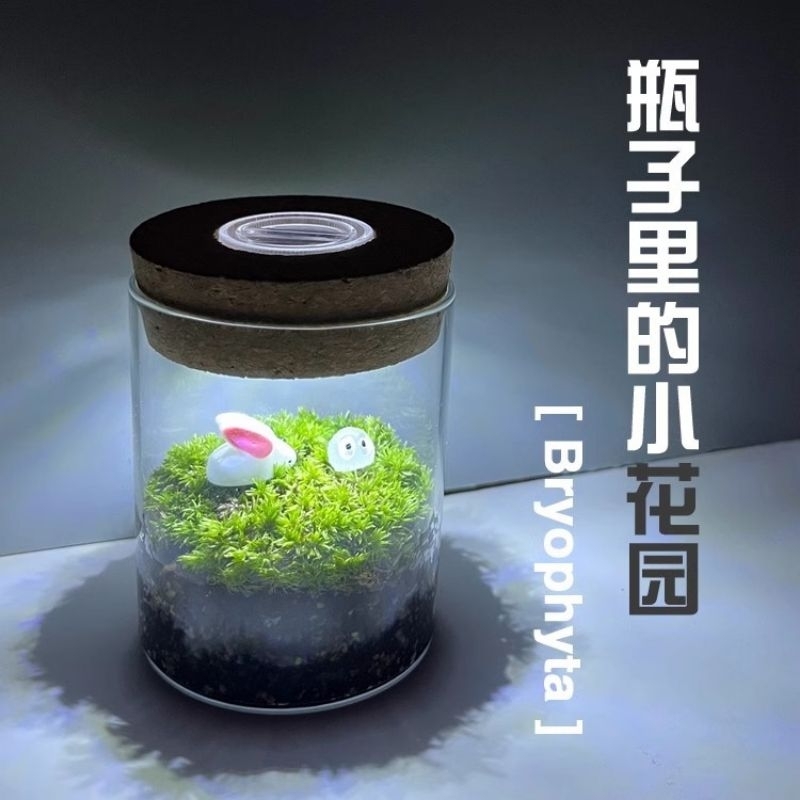 帶LED燈直筒玻璃瓶 圆柱軟木塞微景觀帶燈生態瓶苔藓瓶創意DIY 魚缸 植物燈 送兩顆電池