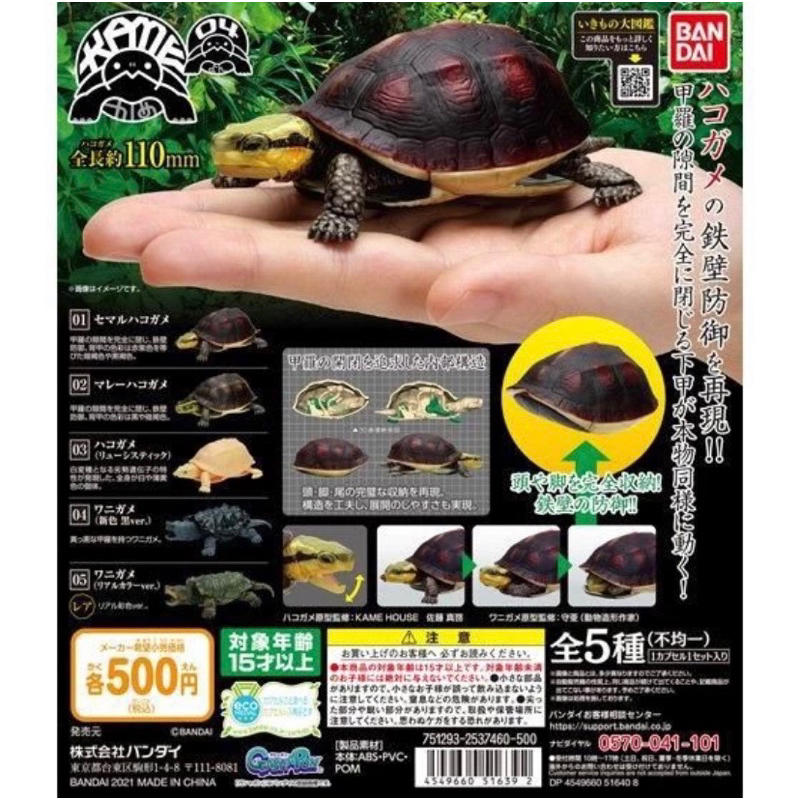 烏龜環保扭蛋 P4 4 食蛇龜篇 綠色 黑色 鱷龜 食蛇龜 造型環保扭蛋 扭蛋