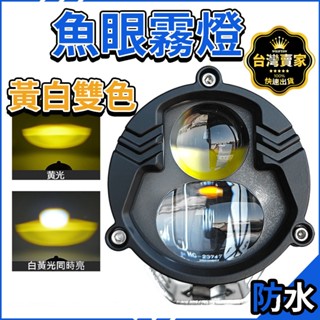 臺灣出貨 魚眼霧燈 雙色 12V24V 霧燈 機車霧燈 電動車大燈 LED工作燈 摩托車大燈 霧燈 投射 魚眼大燈