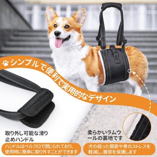 loobani歐美品牌臺灣當日出貨 狗狗輔助帶 接觸面柔軟觸感舒適 輔助上下樓梯 老犬介護復健 後腿臀部拉提 可調長短