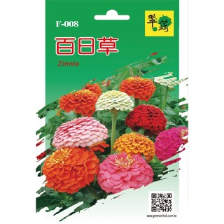 【翠筠官方直營】花卉種子B 百日草/滿天星/非洲菊 種子 種籽 種苗 苗 菜園 菜圃 園藝 花卉 瓜果 香草 葉菜