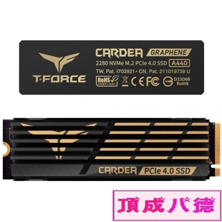 TEAM十銓 T-FORCE CARDEA A440黑曜女神 M.2 SSD固態硬碟1TB 1T 2TB 2T