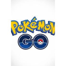 【寶可夢獵人】Pokemon GO 寶可夢GO IV100代抓 非神獸 搜:寶可夢飛人外掛 自動抓寶 pgtools