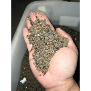 (最佳配方)日本製造 散裝1kg 亞馬遜河沙+日本黑土 水晶蝦 水草培育 黑土