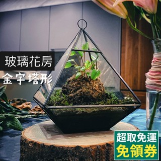 【草葉日和】生態瓶 微景觀 生態缸 園藝 苔蘚生態瓶 造景 水族造景 多肉植物 空氣鳳梨 玻璃花瓶