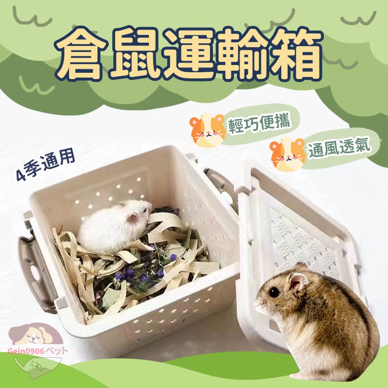 倉鼠運輸籠 倉鼠外出籠 小寵飼養箱 塑料箱子 倉鼠籠 小寵物箱 黃金鼠 三線鼠 公公鼠 寵物鼠用品 鼠鼠用品