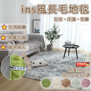 臺灣出貨 地毯 地墊 ins風地毯 床邊地毯 地毯臥室 毛地毯 地毯客廳 毛毛地毯 絨毛地毯 厚地毯 造型地毯 租房好物