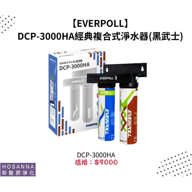 【EVERPOLL】 DCP-3000HA經典複合式淨水器(黑武士)