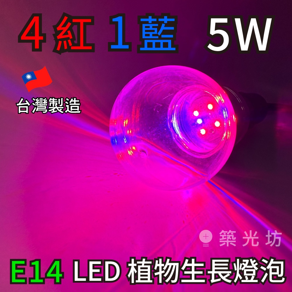 【築光坊】台灣製造 E14 5W 4紅 1藍 植物生長燈 LED 紅光 620nm 藍光 450nm 植物燈泡 多肉觀葉
