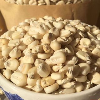 今年新種子💎白龍王玉米種子💎大量批發 全網最低 玉米種子 白玉米種子 水果玉米種子 可生吃玉米 四季播種 超高產量