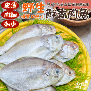 【好嬸水產】野生鮮香肉魚｜淨重140-300G｜買一送一｜蝦皮最大尾｜非中國產｜2024一月進港｜蝦皮最低價