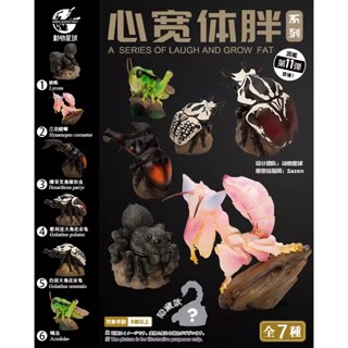 【MOVE】 (現貨) 動物星球 心寬體胖系列 第十一彈 蟲蟲 vol.2 螳螂 鍬形蟲 金龜 公仔 盒玩 盲盒 隱藏