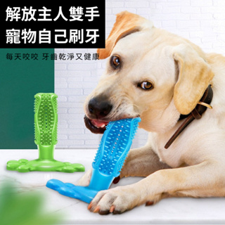☀️貓狗市集☀️寵物潔牙棒 潔牙骨 寵物潔牙 磨牙 清潔牙齒 寵物玩具 狗玩具