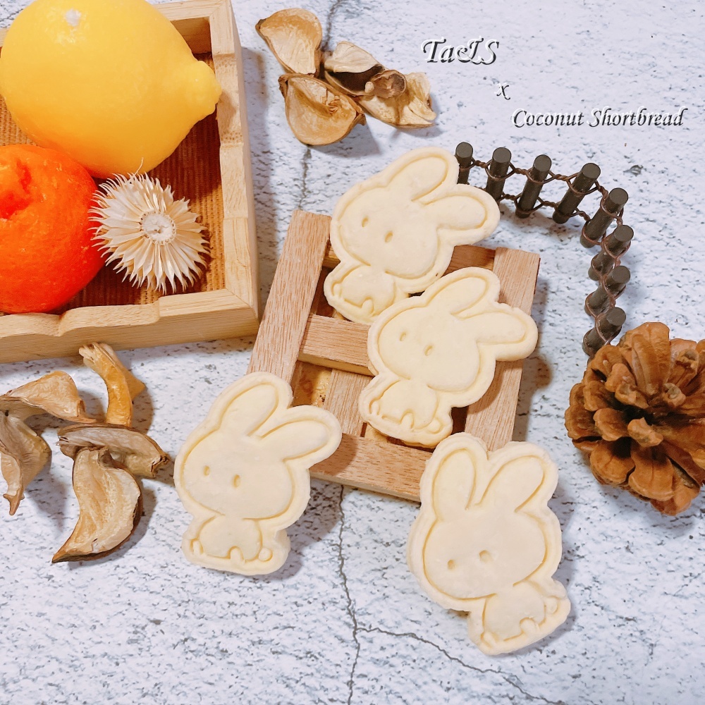 【Ta&amp;S】椰絲兔薄餅乾 Coconut Shortbread　5入單裝/10入盒裝 兔兔造型餅乾 椰絲壓模餅乾手工餅乾