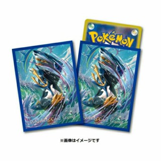 DSC☆全新 現貨 代理版 寶可夢卡套 帝王拿波 PTCG 第二層 牌套 卡套 64入 66×92mm 卡片保護 防護