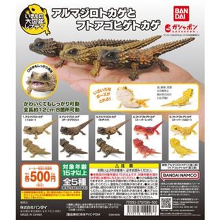 『現貨』生物大圖鑑-犰狳蜥與鬃獅蜥 BANDAI 扭蛋 轉蛋 【蛋樂寶】