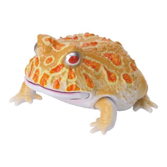 生物大圖鑑 角蛙與饅頭蛙 黃色角蛙 BANDAI 萬代