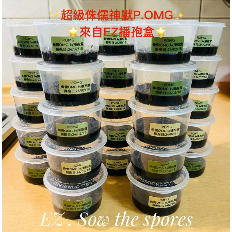 《EZ播孢樂🦌》🔥超級神獸P.OMG來了，神獸級限量EZ播孢盒，讓您花少錢養好神獸鹿角蕨真超值！(侏儒超稀有)