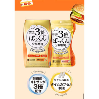 🌈現貨+預購 日本境內版正品SVELTY 3倍分解酵母菌 56顆/100顆 有購證 黑薑14天份 腹內脂