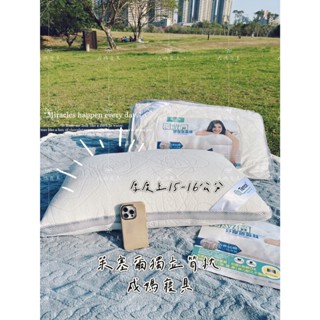 成媽🔸萊賽爾纖維獨立筒透氣枕 水洗獨立筒枕 開立發票 專利設計 臺灣製造 防塵蟎枕 透氣枕頭 彈簧枕 內有50顆獨立筒