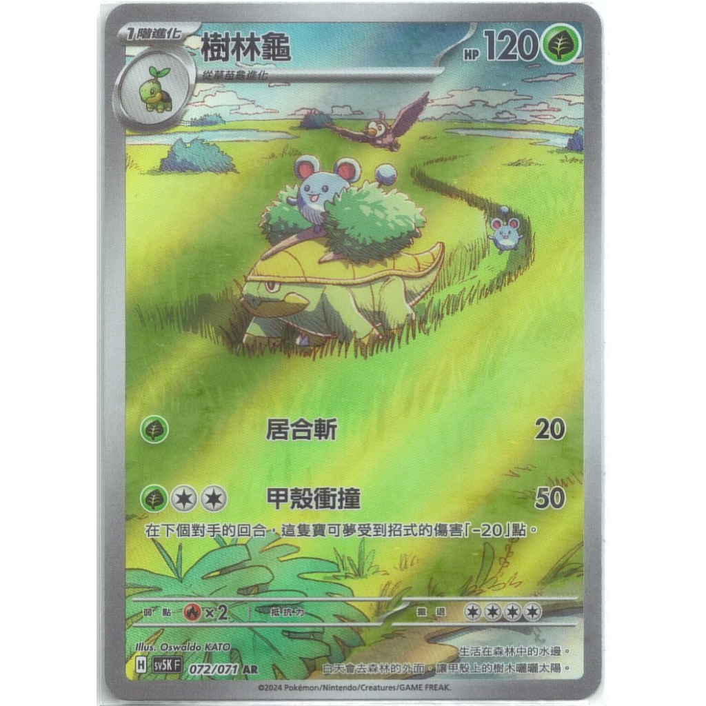 【布雷卡】寶可夢集換式卡牌，中文版 亮面 AR 樹林龜