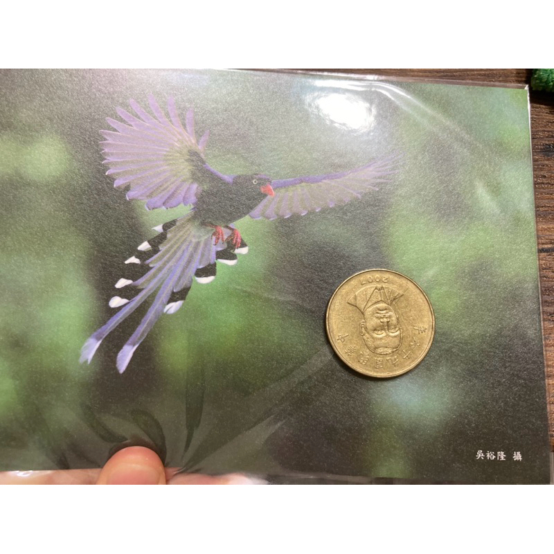 陽明山國家公園 明信片 悠閒藍鵲輕展翅