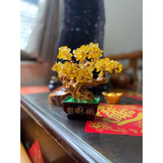 《黃水晶發財樹》水晶樹 招財樹 搖錢樹 黃水晶 聚財 開店必備 財富之樹 風水擺飾