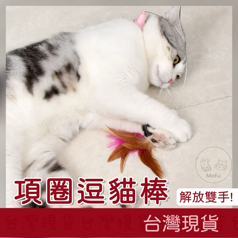 MOFU🐱 項圈逗貓棒 項圈逗貓 逗貓棒項圈 懶人逗貓 懶人逗貓棒 鬥貓棒 自嗨逗貓棒 貓咪項圈逗貓棒 貓咪玩具項圈