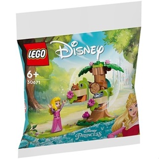 【台中翔智積木】LEGO 樂高 迪士尼公主 30671 睡美人 奧蘿拉 在森林遊樂園