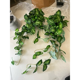 超商免運費😇垂吊植物😇模擬芋頭葉 仿真植物 模擬葉子🍃綠色盆栽 綠色假植物 室內設計 龜背葉 芋頭葉