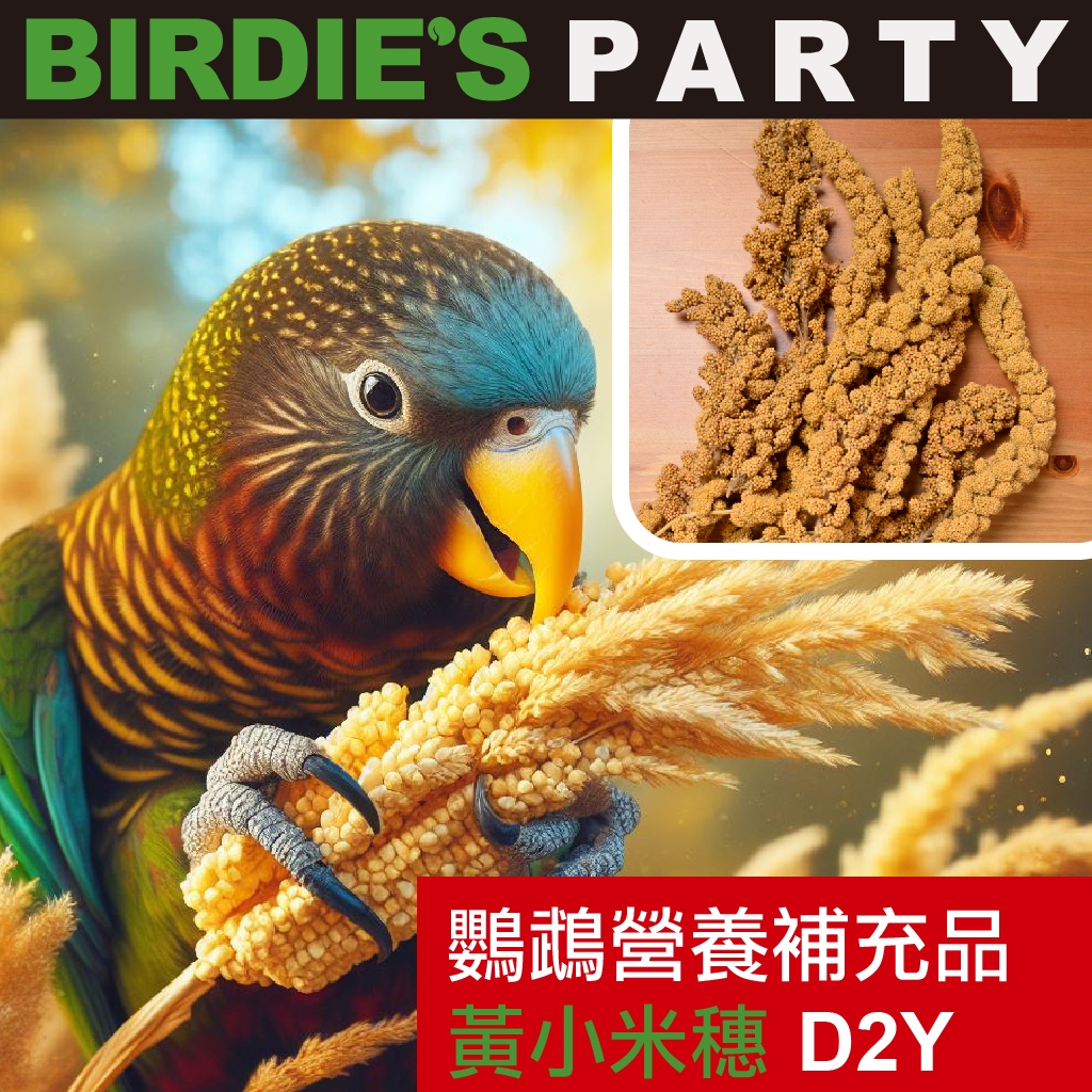 BIRDIE’S PARTY 鸚鵡營養補充品-黃小米穗 150g